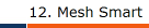12. Mesh Smart