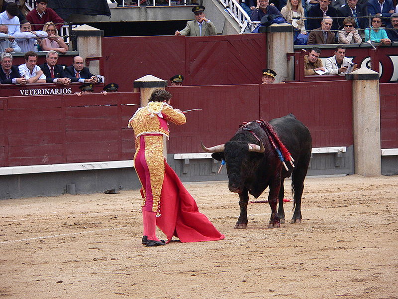 mexico-get-thebull